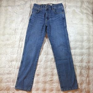 Wrangler Men's Straight Fit Blue Jeans